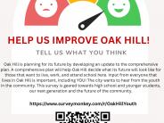 Comprehensive Plan Youth Survey