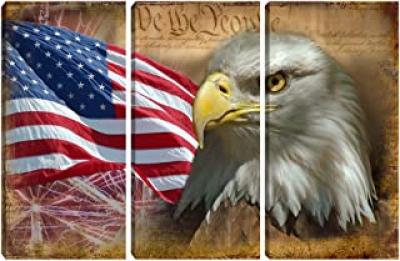 eagle we the people